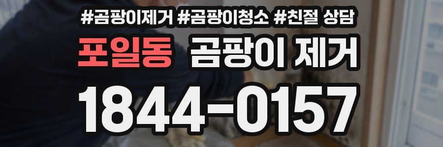 포일동 곰팡이 제거