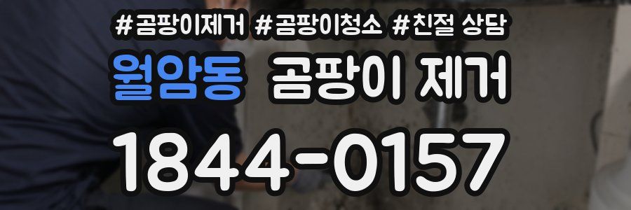 월암동 곰팡이 제거