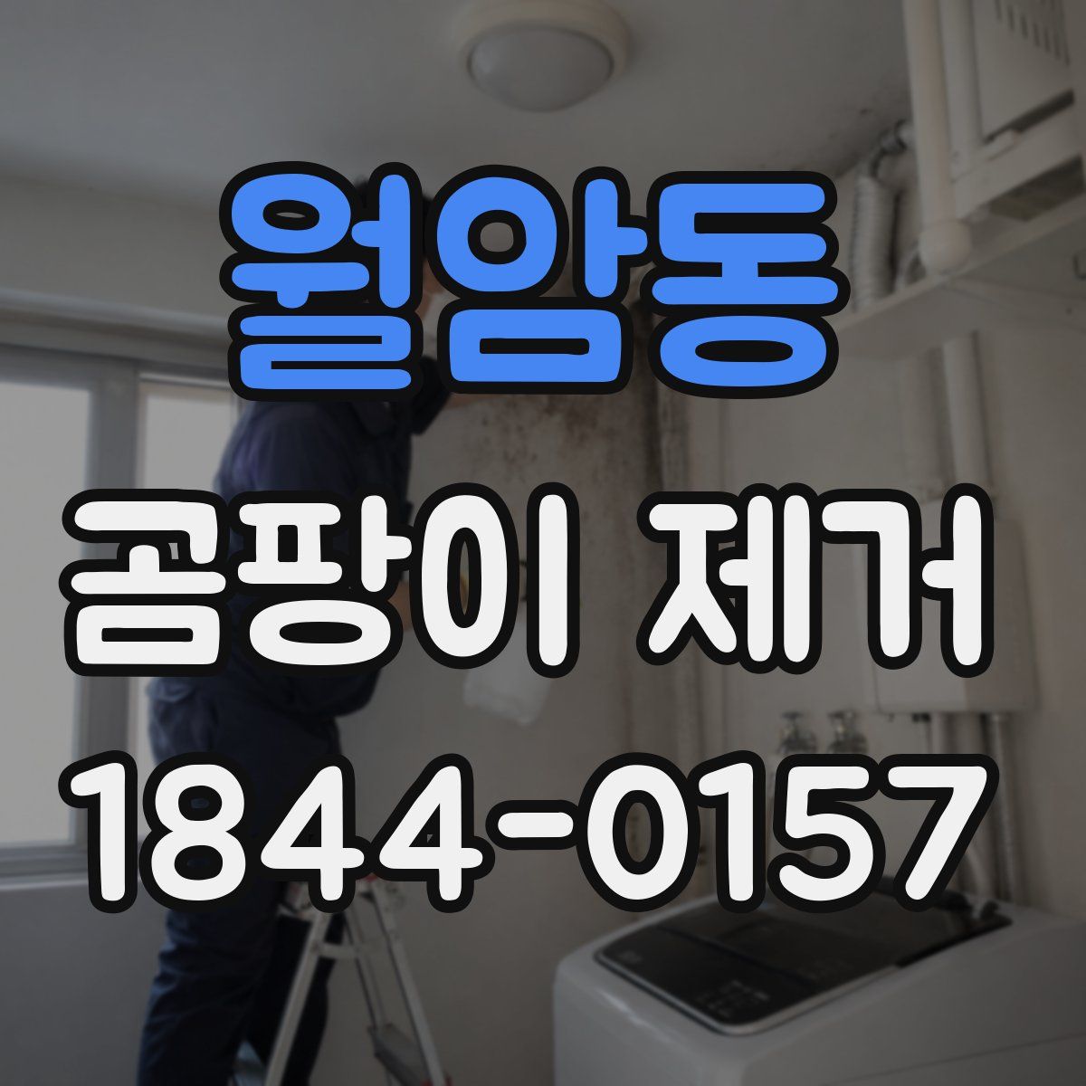 월암동 곰팡이 제거