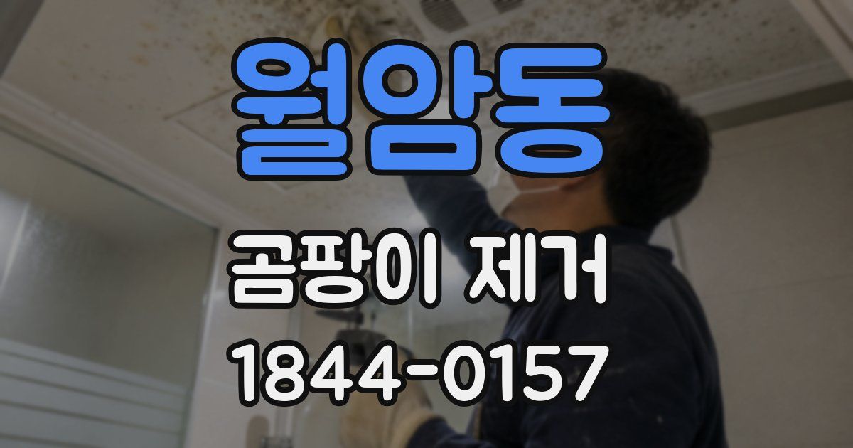 월암동 곰팡이 제거
