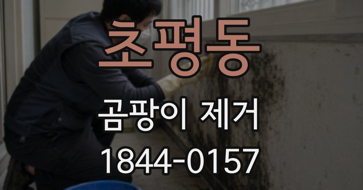 초평동 곰팡이 제거