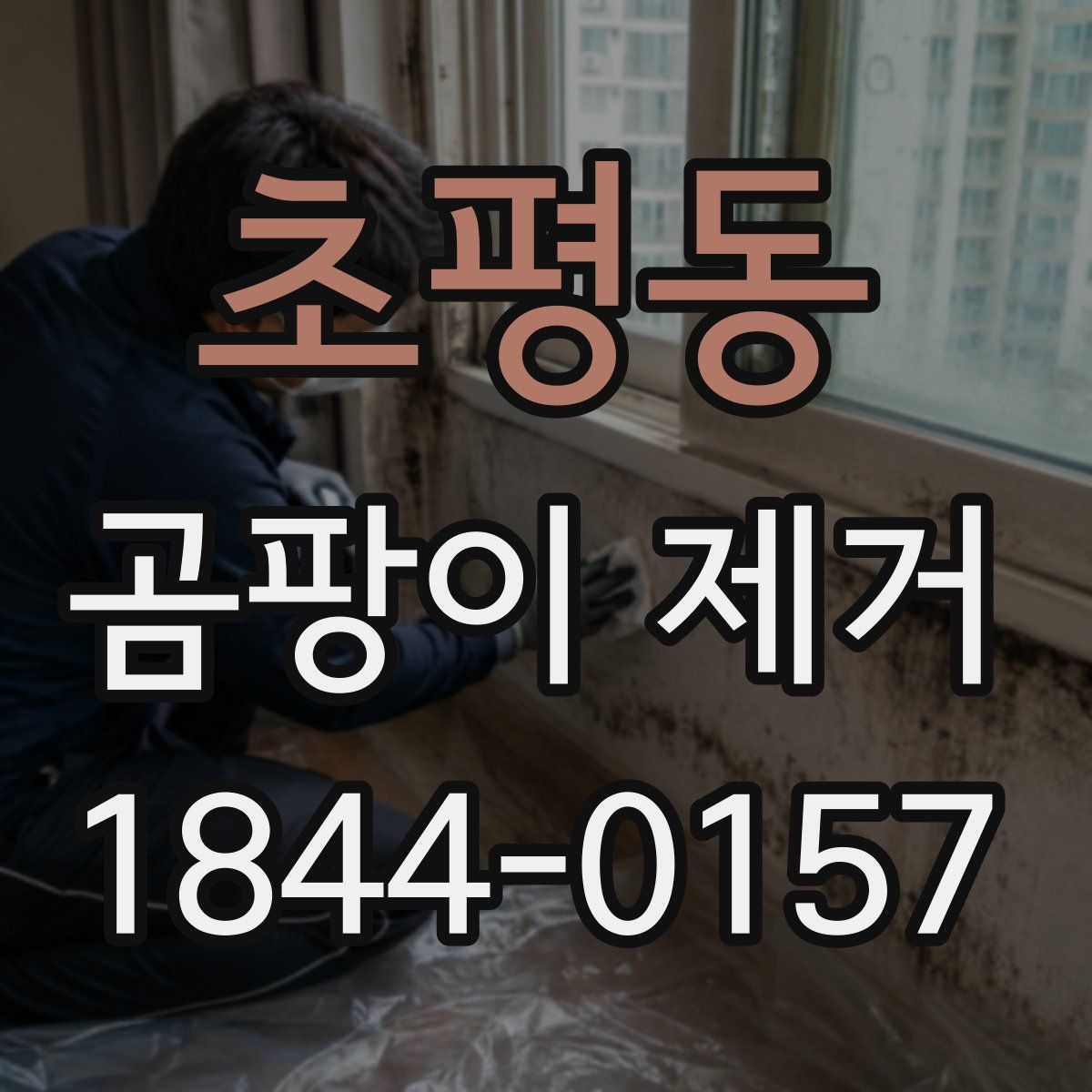 초평동 곰팡이 제거