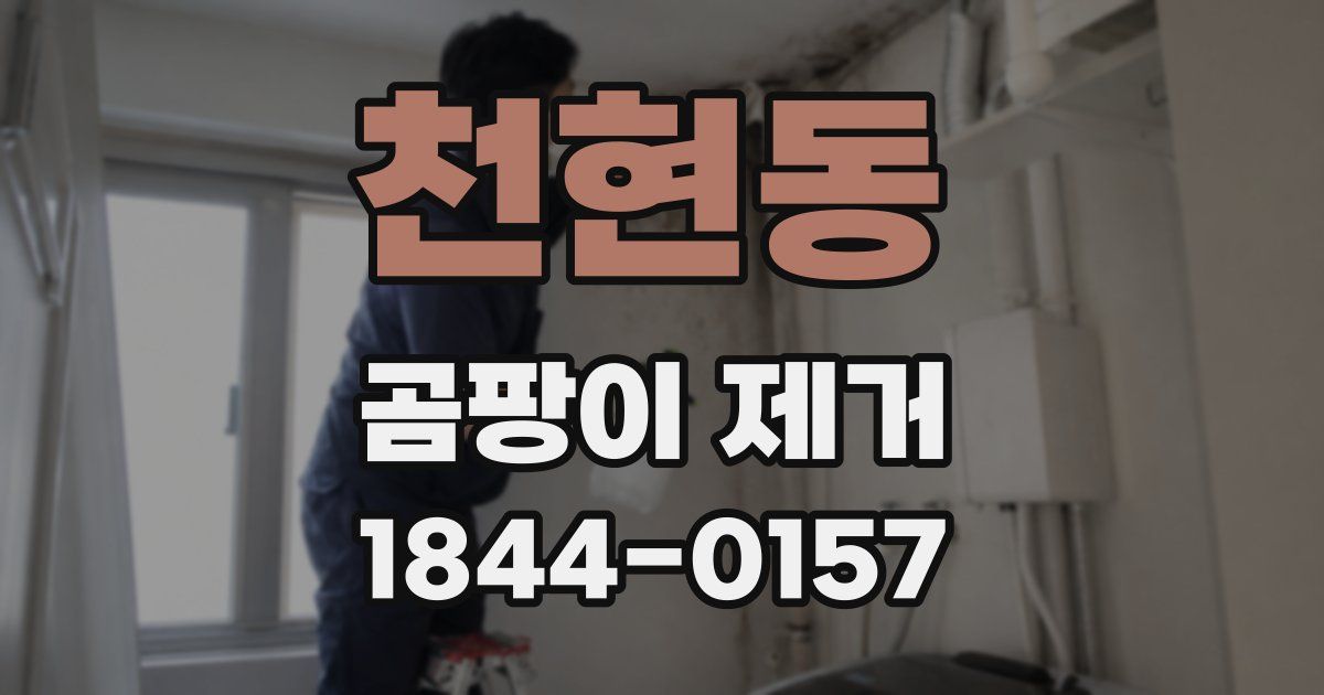 천현동 곰팡이 제거