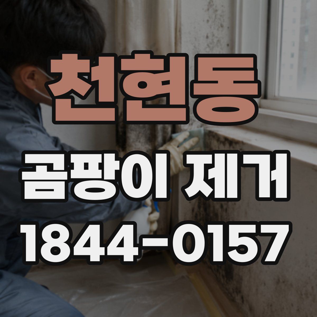 천현동 곰팡이 제거