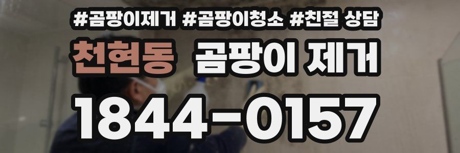 천현동 곰팡이 제거