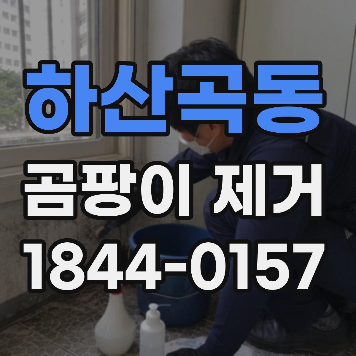 하산곡동 곰팡이 제거