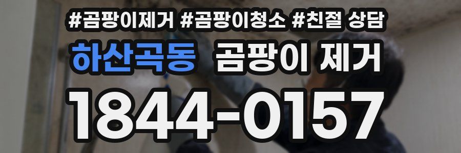 하산곡동 곰팡이 제거