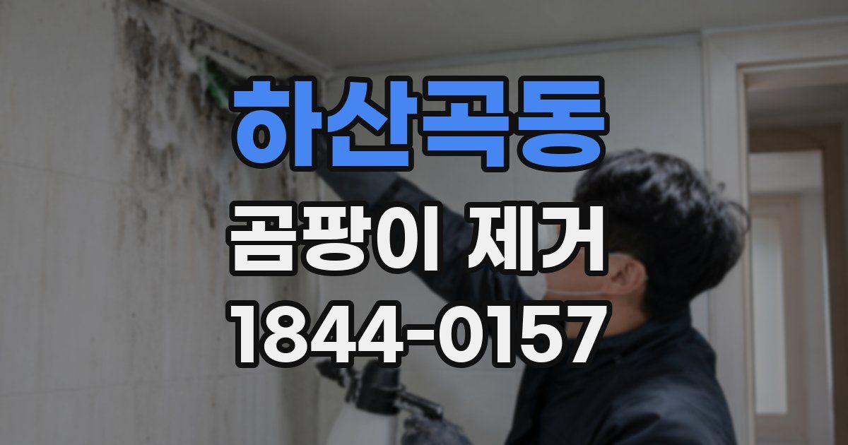 하산곡동 곰팡이 제거