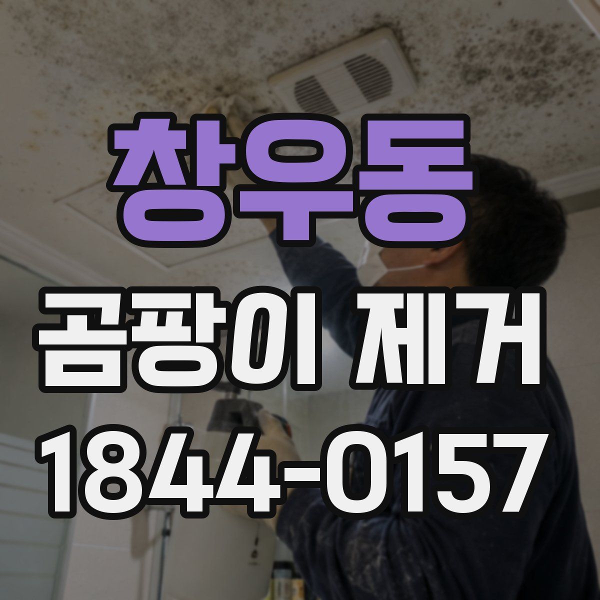 창우동 곰팡이 제거