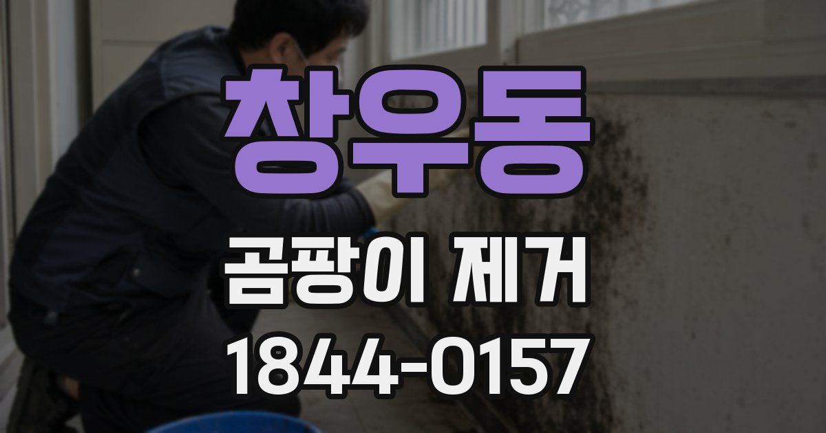 창우동 곰팡이 제거