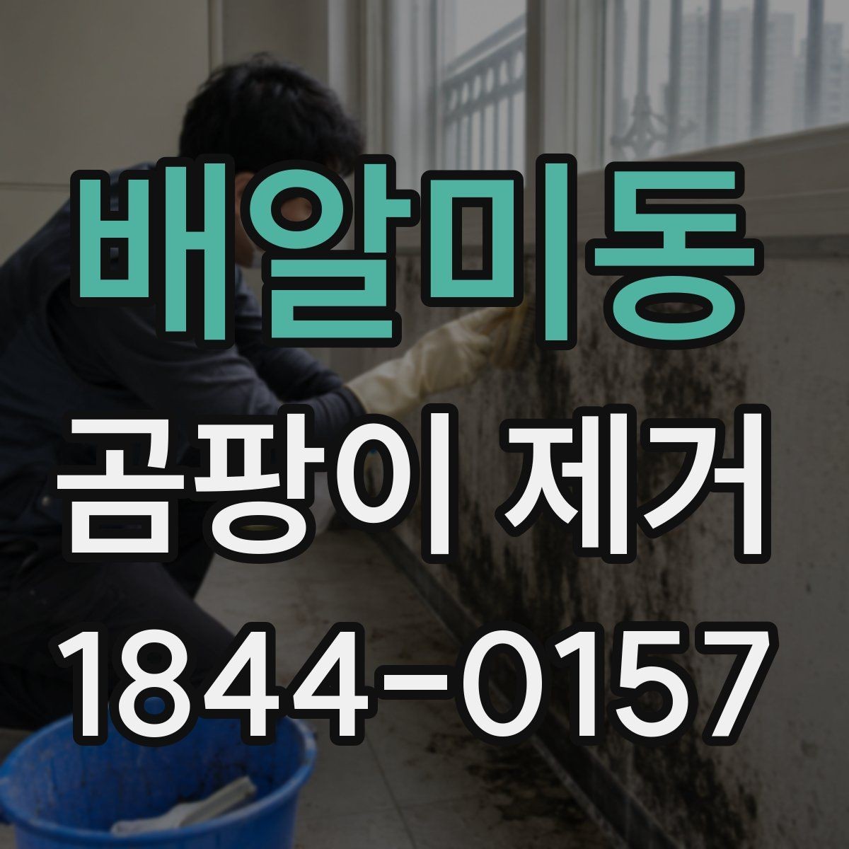 배알미동 곰팡이 제거 작업 시간과 마르는 과정 이해하기