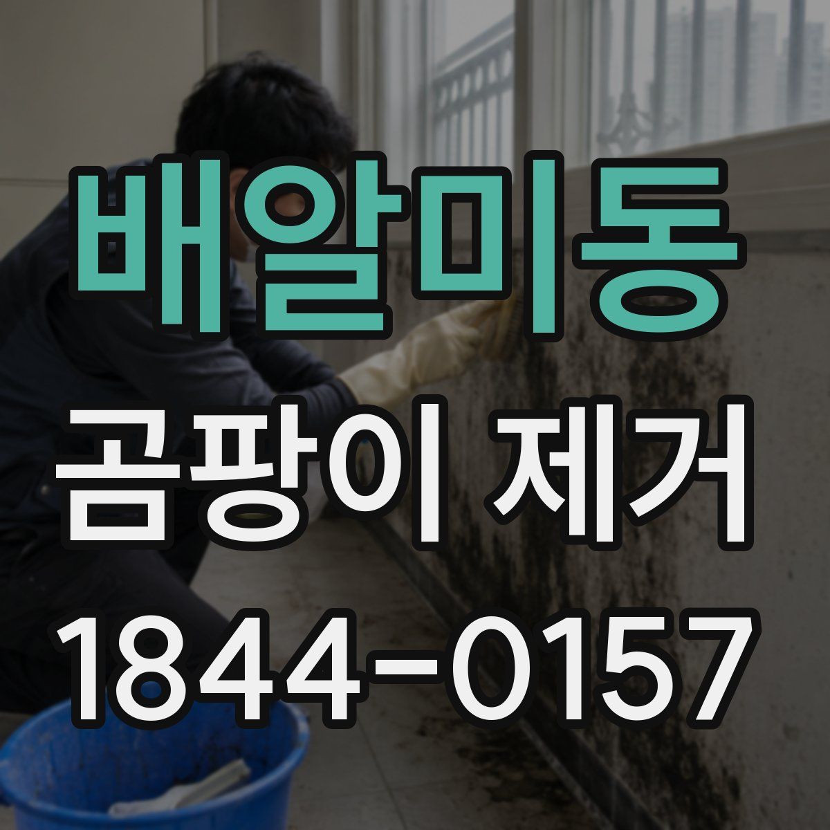 배알미동 곰팡이 제거