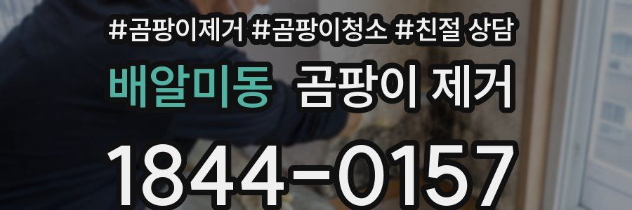 배알미동 곰팡이 제거