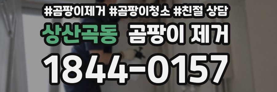 상산곡동 곰팡이 제거