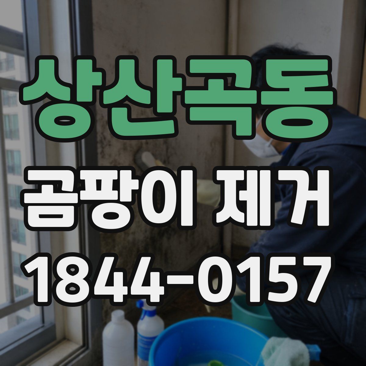 상산곡동 곰팡이 제거