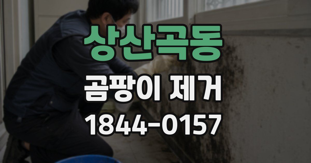 상산곡동 곰팡이 제거