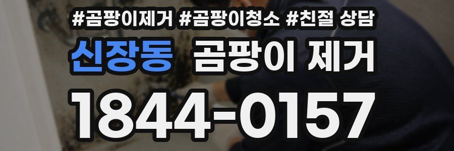 신장동 곰팡이 제거