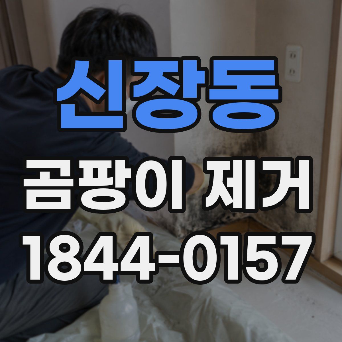 신장동 곰팡이 제거