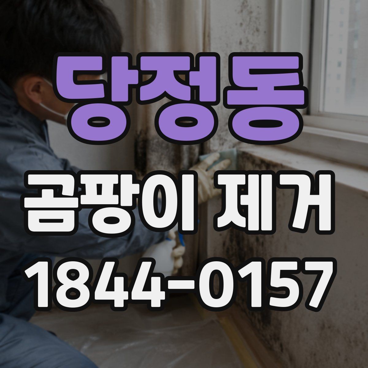 당정동 곰팡이 제거 방치하기 쉬운 구석과 틈새 정리