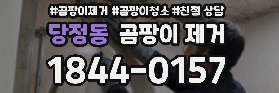 당정동 곰팡이 제거