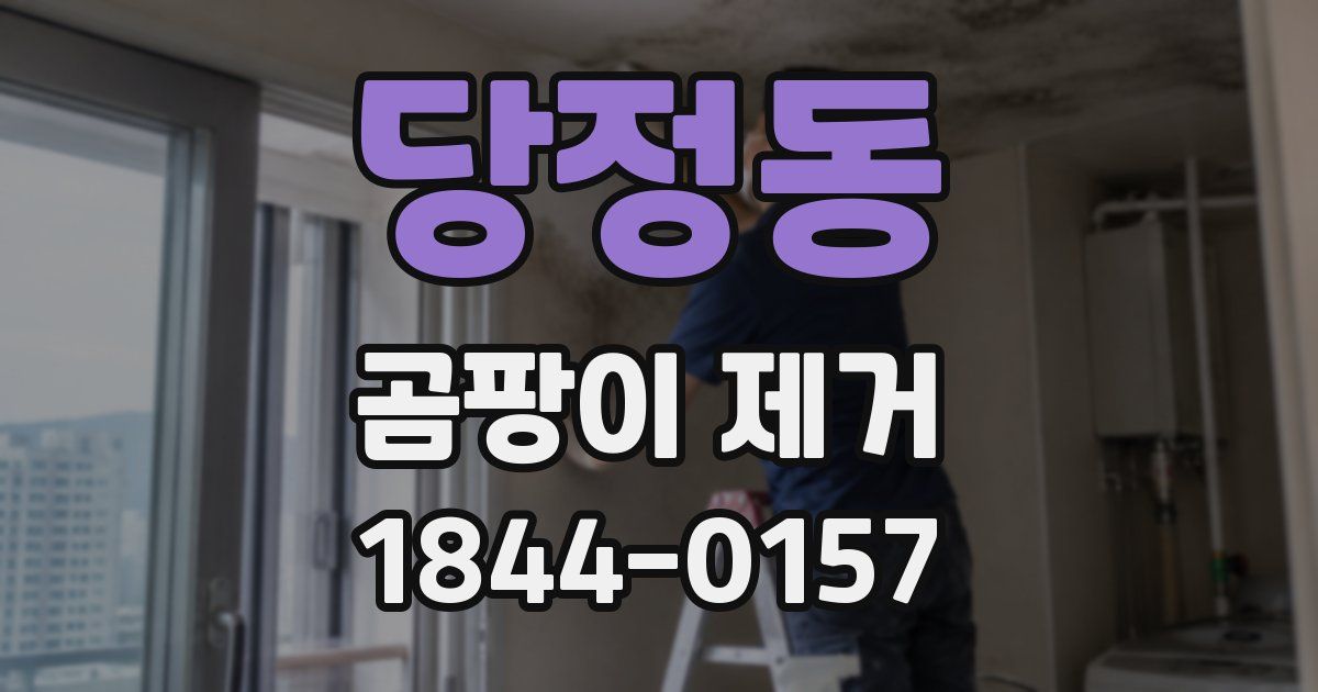 당정동 곰팡이 제거