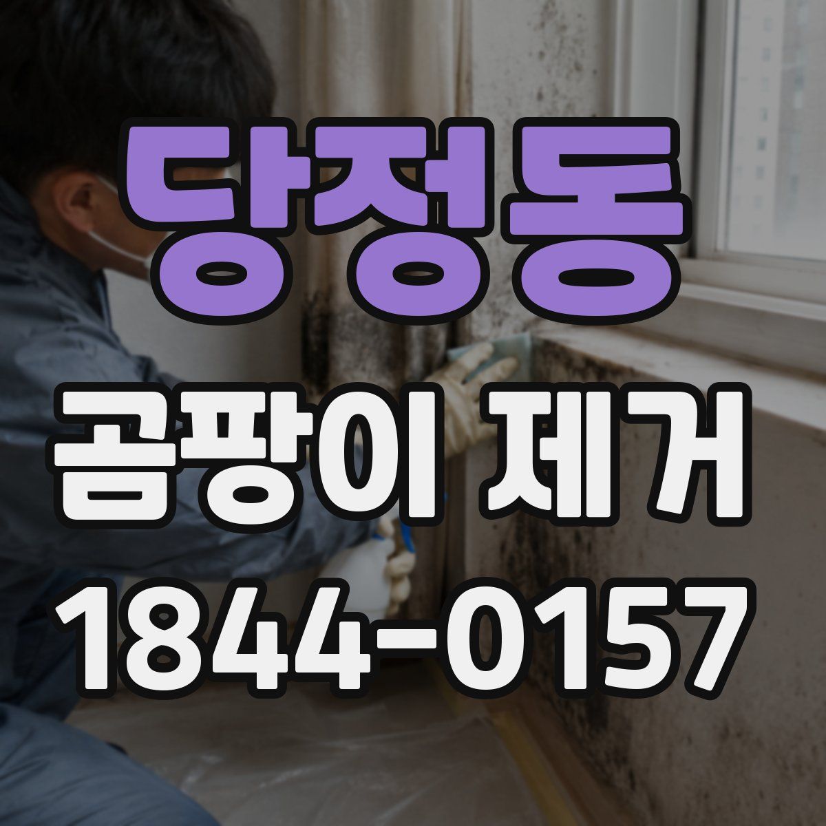 당정동 곰팡이 제거