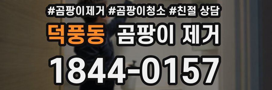 덕풍동 곰팡이 제거