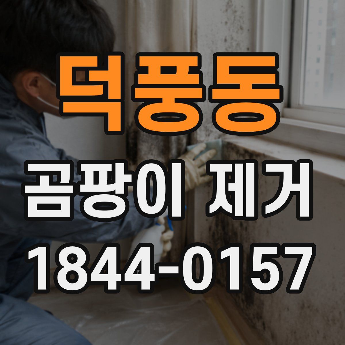 덕풍동 곰팡이 제거