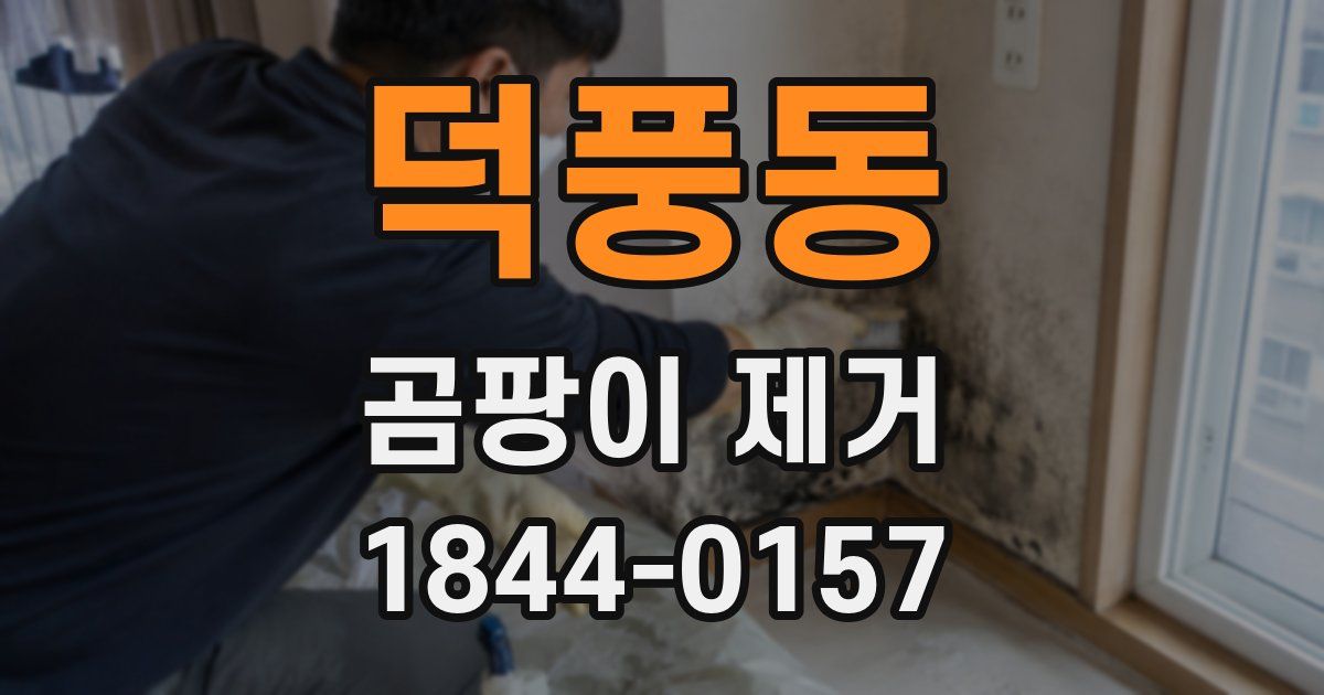덕풍동 곰팡이 제거
