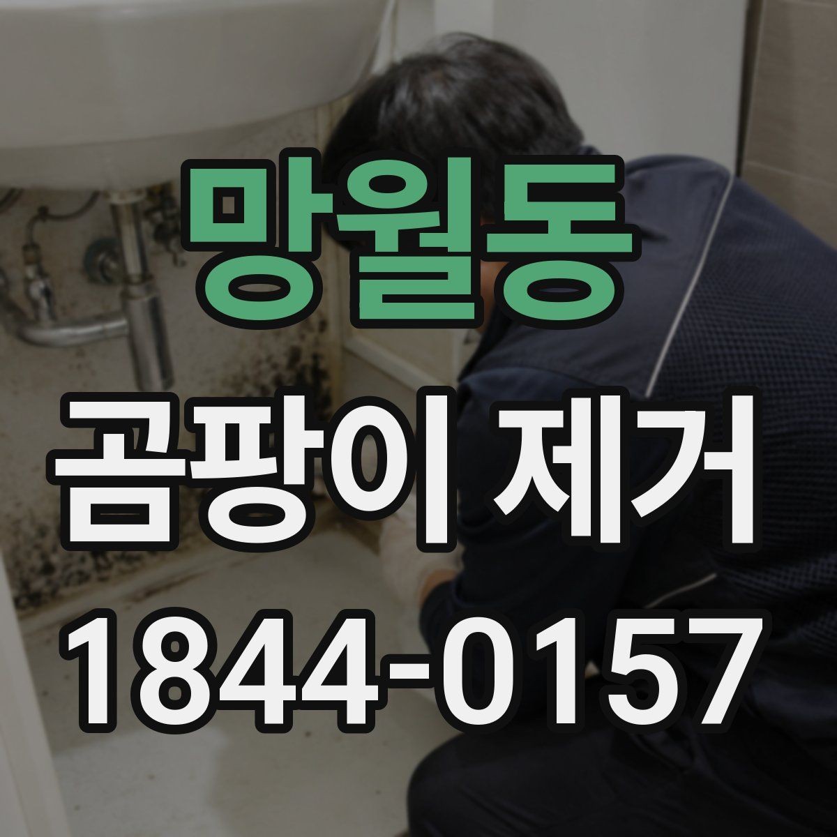 망월동 곰팡이 제거 단순 청소와 보수 작업의 차이
