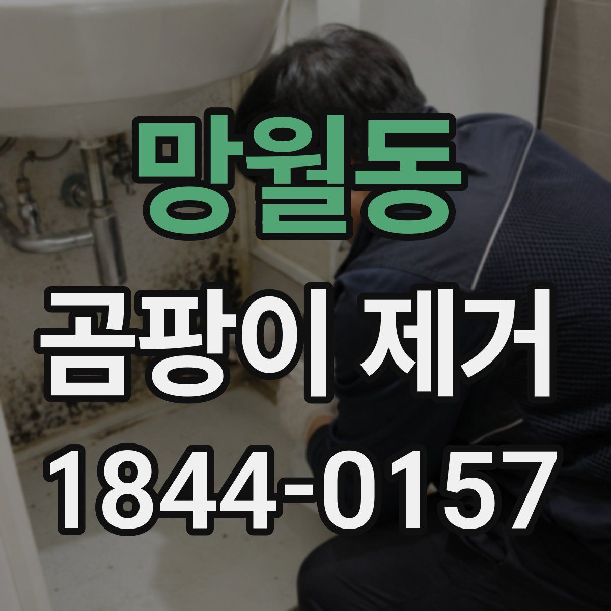 망월동 곰팡이 제거