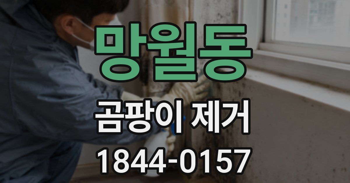 망월동 곰팡이 제거