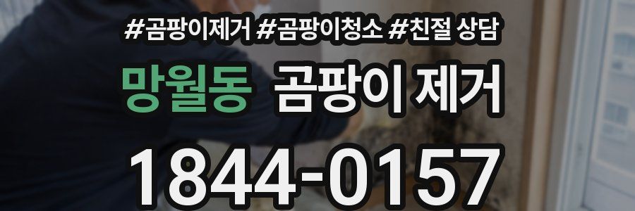 망월동 곰팡이 제거