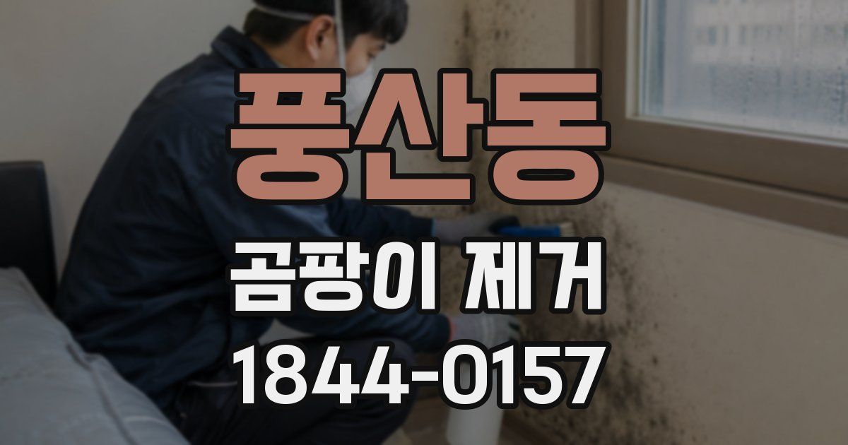 풍산동 곰팡이 제거