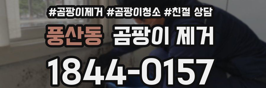풍산동 곰팡이 제거