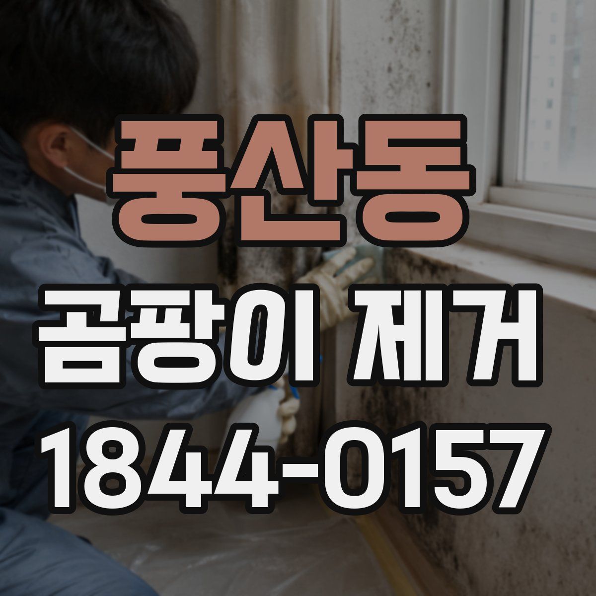 풍산동 곰팡이 제거