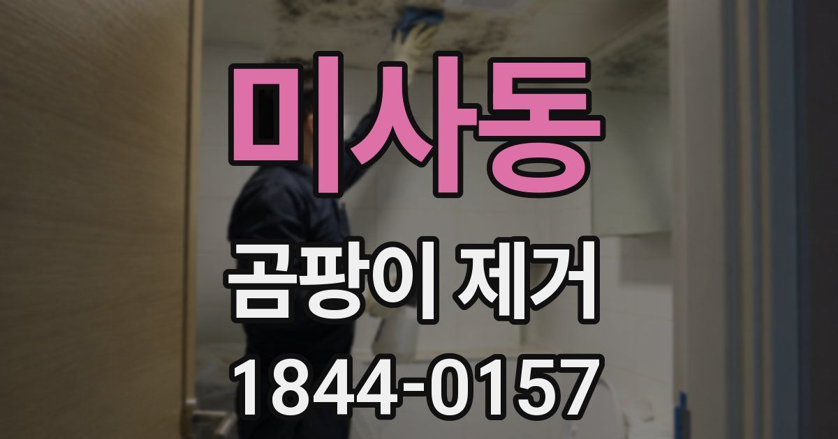 미사동 곰팡이 제거