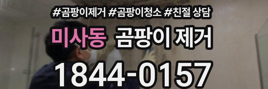 미사동 곰팡이 제거