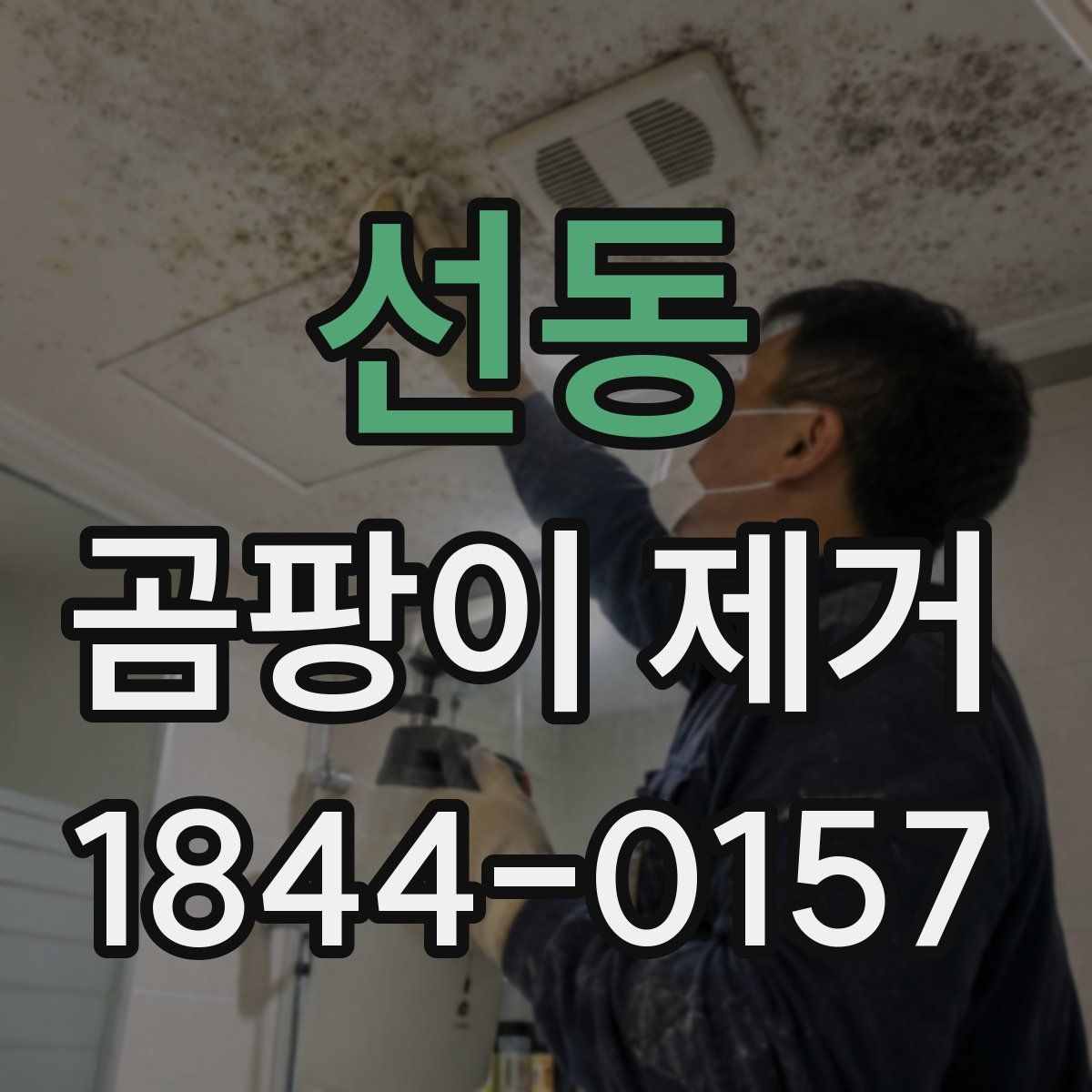 선동 곰팡이 제거