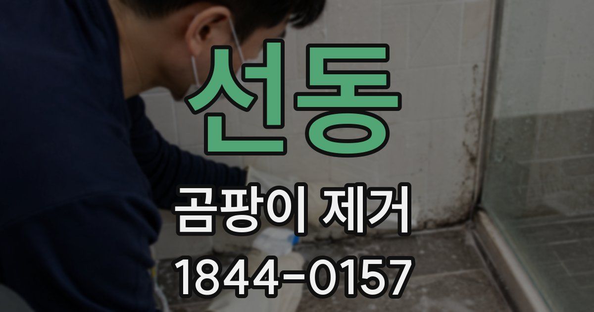 선동 곰팡이 제거