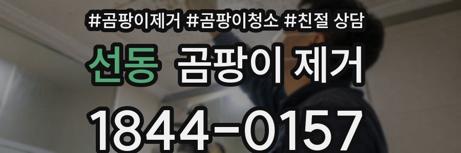 선동 곰팡이 제거