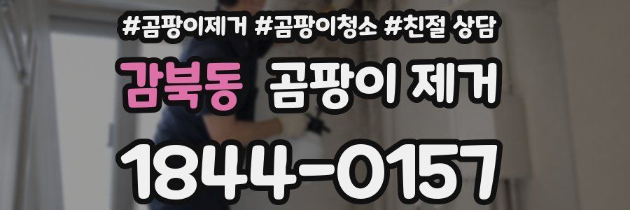 감북동 곰팡이 제거