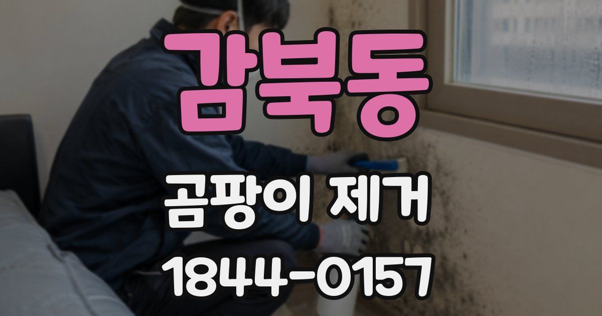 감북동 곰팡이 제거