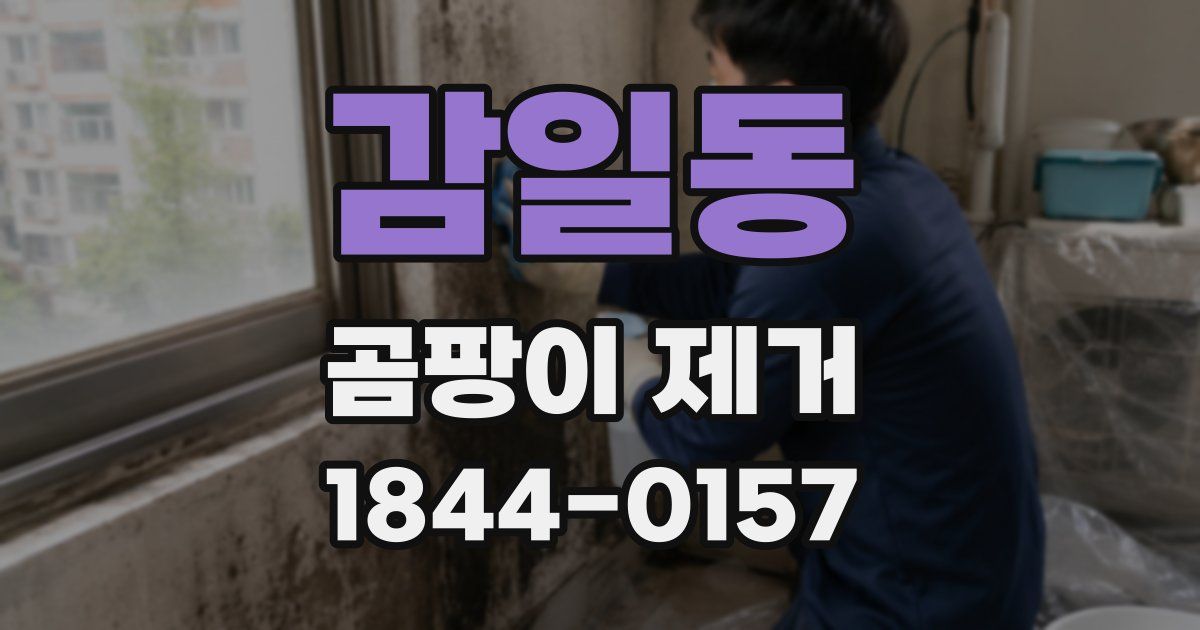 감일동 곰팡이 제거