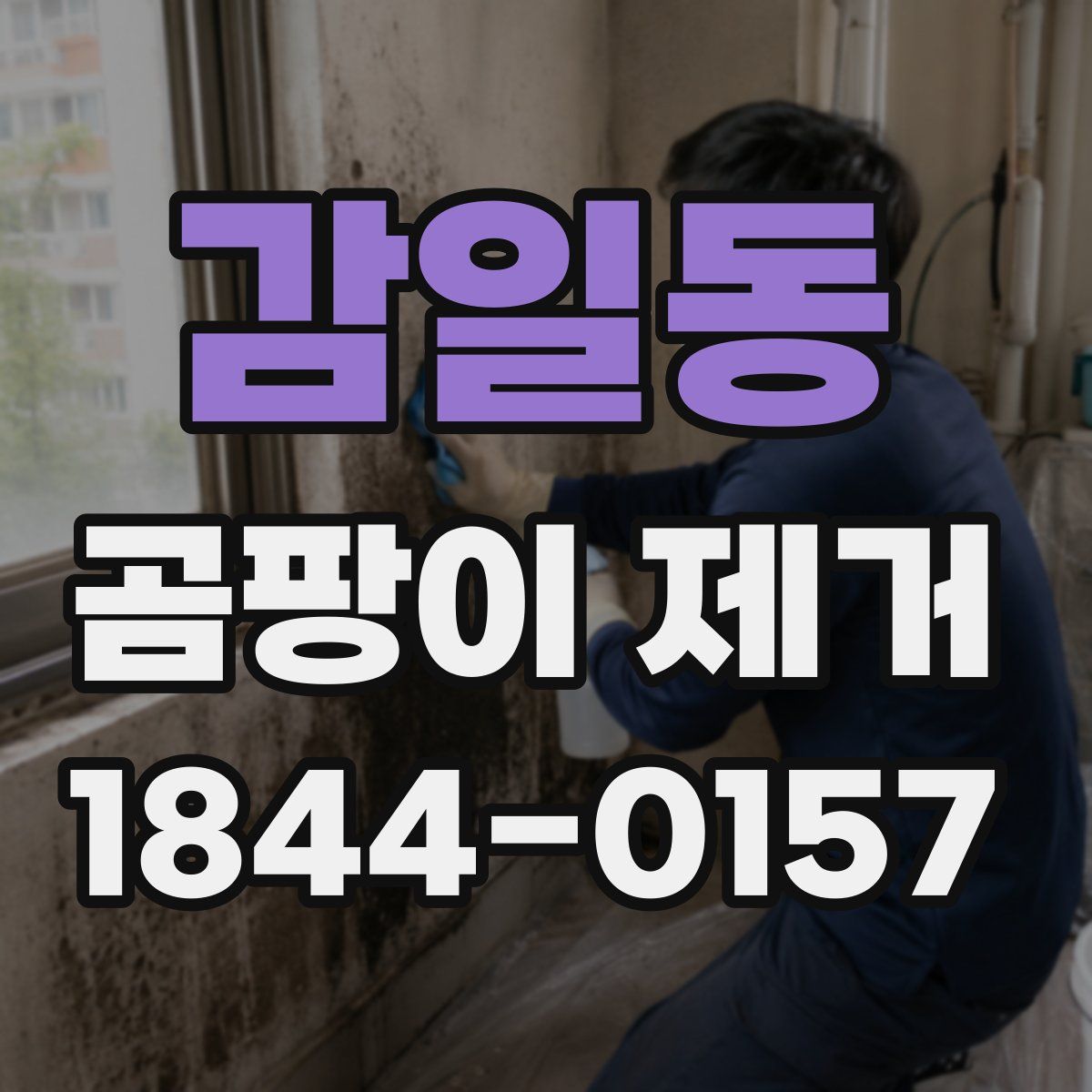 감일동 곰팡이 제거