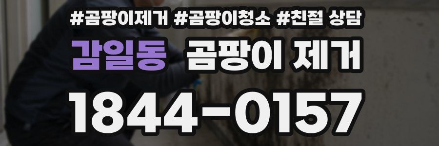 감일동 곰팡이 제거