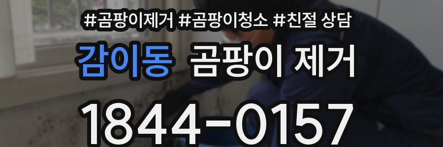감이동 곰팡이 제거