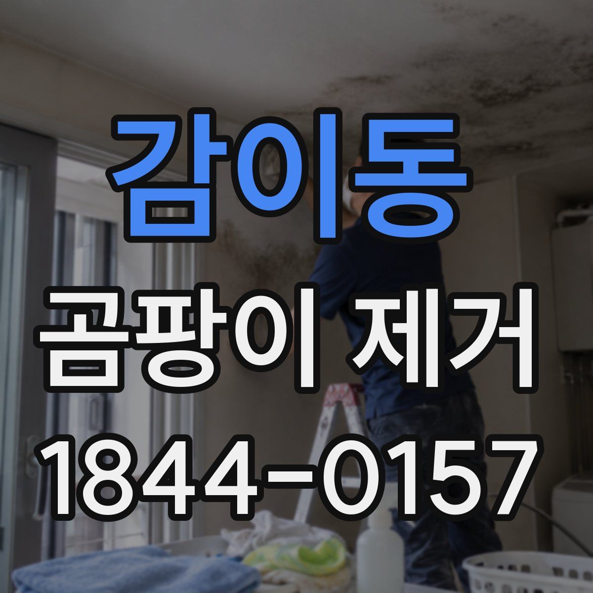 감이동 곰팡이 제거