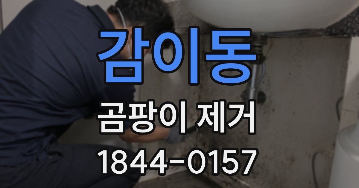 감이동 곰팡이 제거