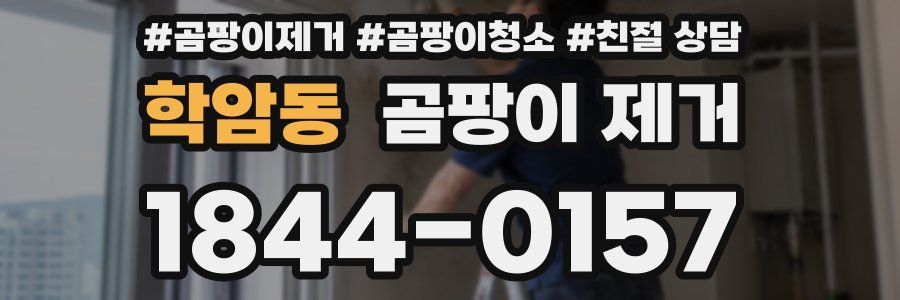 학암동 곰팡이 제거